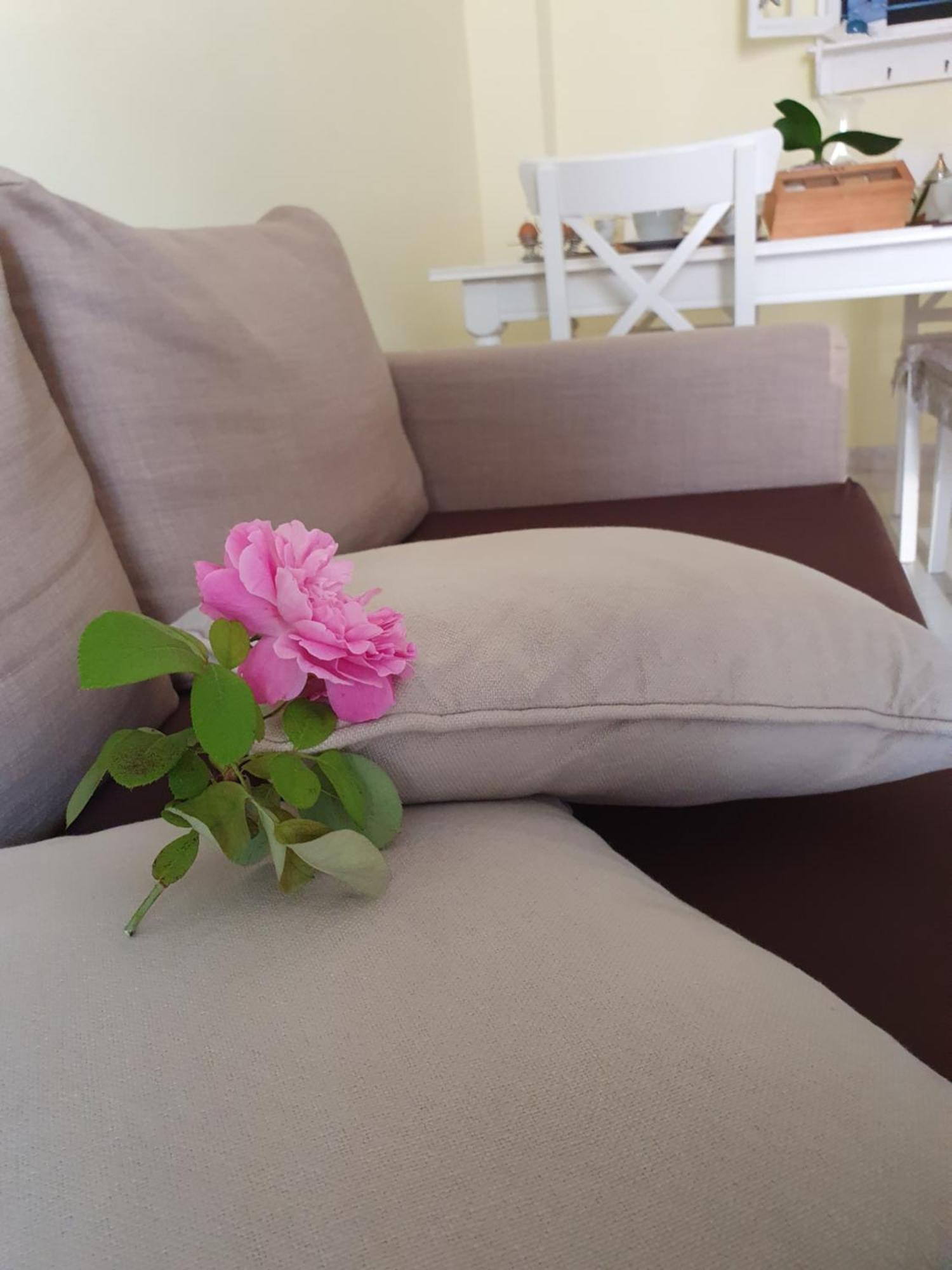 Casa Vacanze Rosy "Nel Verde" 팔리누로 외부 사진