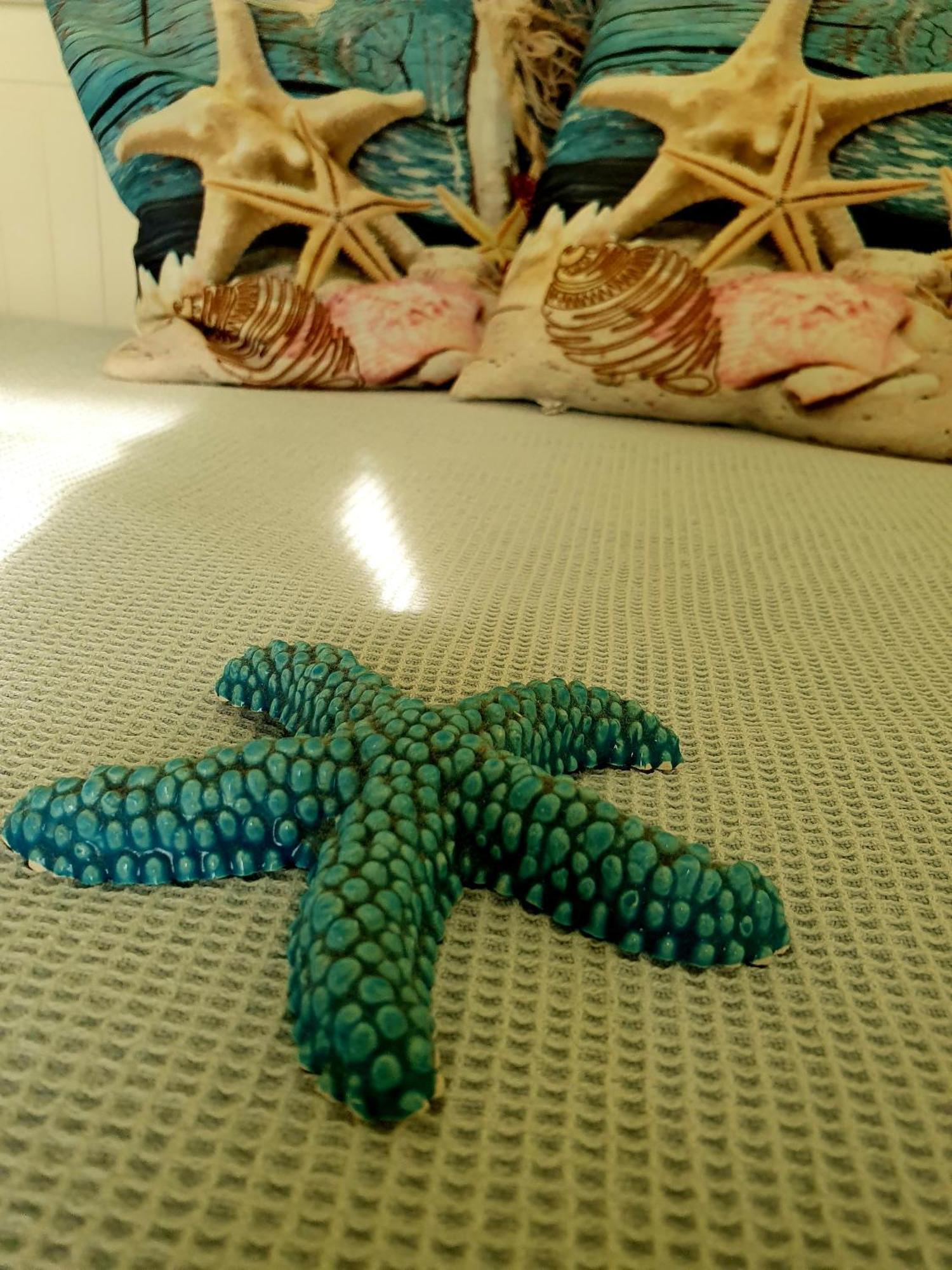 Casa Vacanze Rosy "Nel Verde" 팔리누로 외부 사진