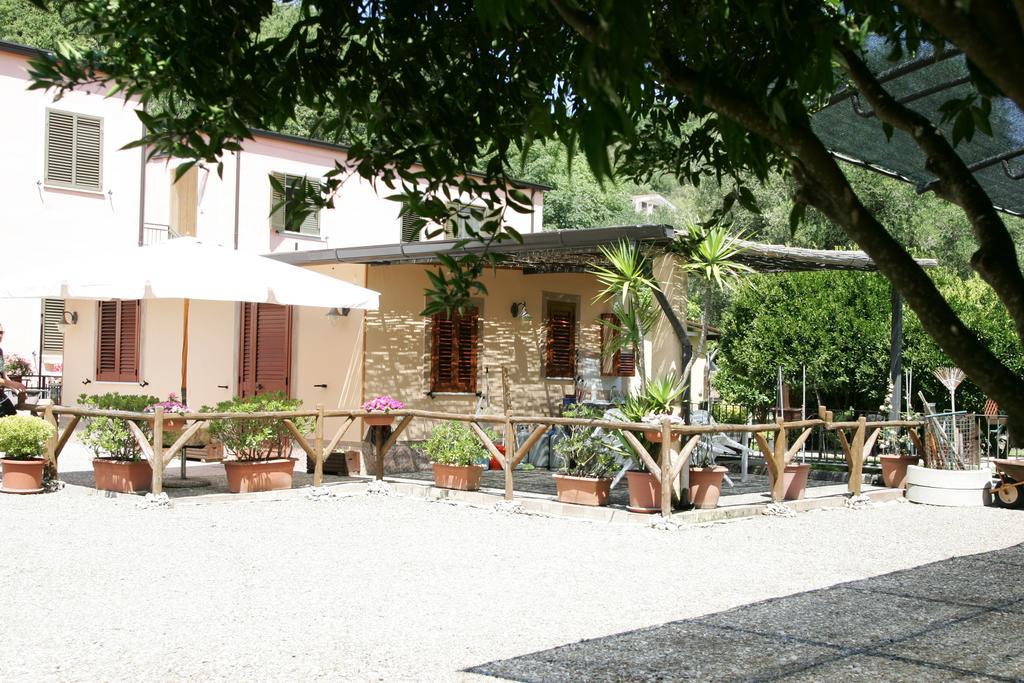 Casa Vacanze Rosy "Nel Verde" 팔리누로 객실 사진