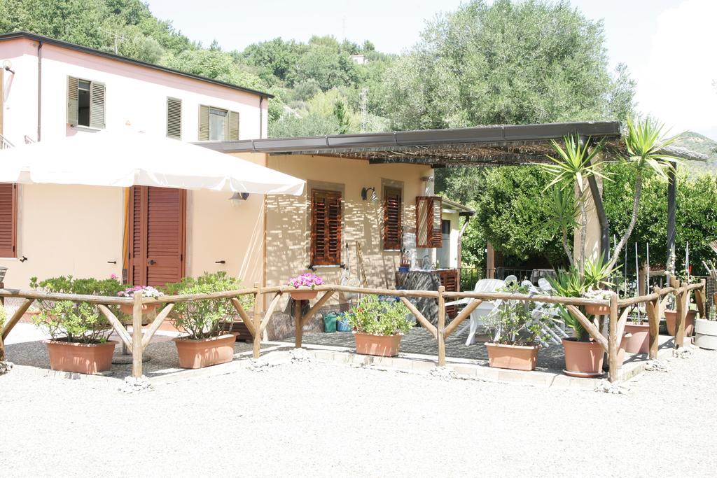 Casa Vacanze Rosy "Nel Verde" 팔리누로 객실 사진